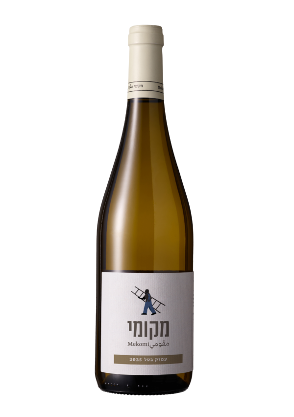 עמוק בטל 2025