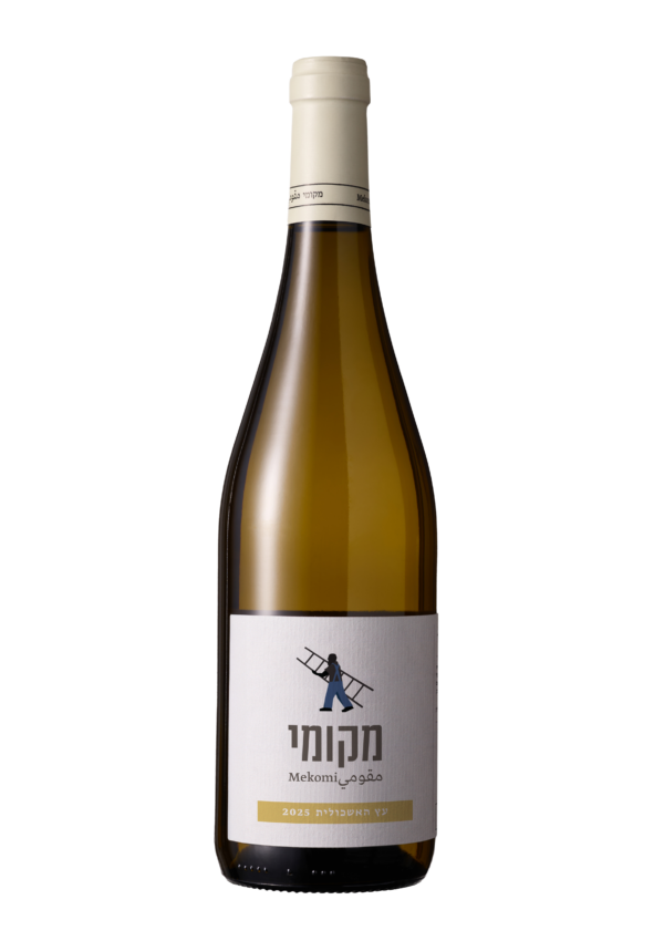 עץ האשכולית 2025